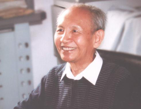 十英寸披萨有多大，十寸披萨有多大（师从华罗庚的王元在哥德巴赫猜想的研究中做出怎样的贡献）