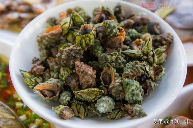 佛手螺是哪儿的特产，佛手螺最多的产地是哪里（浙江宁波渔山岛有个小渔村）