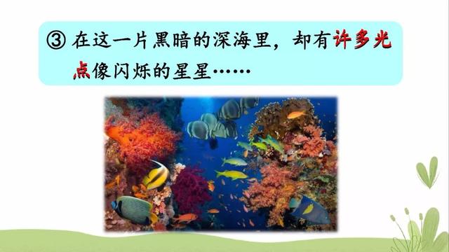 海底有哪些丰富的物产，海底有哪些丰富的物产和特征（部编版三年级下册第23课《海底世界》图文讲解）
