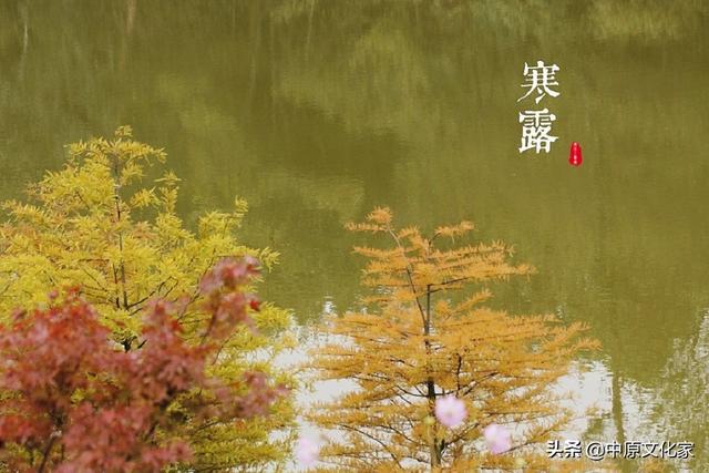 寒露是什么意思，带你了解寒露的由来（寒露时节的气候变化有何特征）