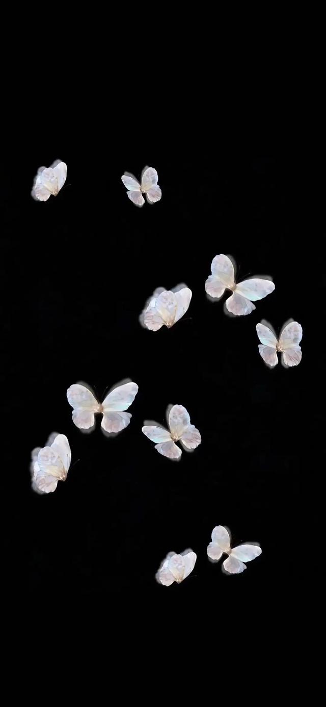 壁纸   人望山，鱼窥荷，人望山鱼窥荷鱼有骨人无心暗示什么（理想主义的少年永远不会被现实招安图片）