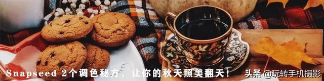 手机上怎么自由裁剪图片，如何在手机上裁剪出一样大小的图片呢（Snapseed终于附上说明书）