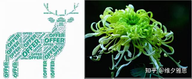 ca是美国哪个城市的缩写，ca是美国哪个州缩写（只有留学生才能看懂的“神秘代码”）