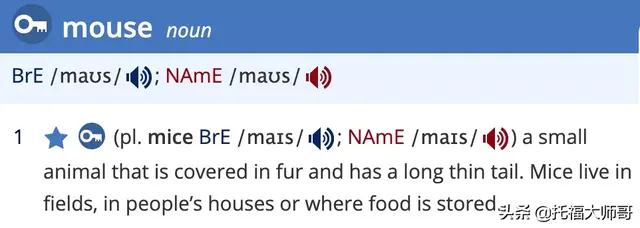 mouse的复数，“鼠年”的“鼠”，到底是