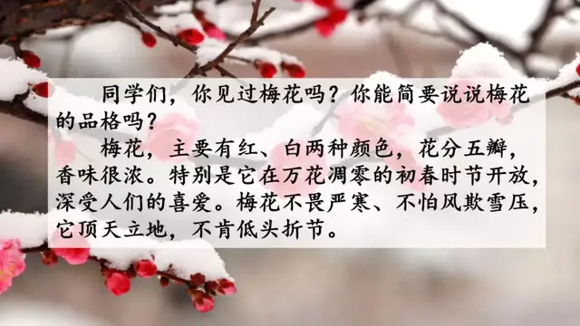 颇负盛名的拼音，颇负盛名的负字是什么意思（部编版五年级语文下册第四课《梅花魂》知识点及课堂测试题）