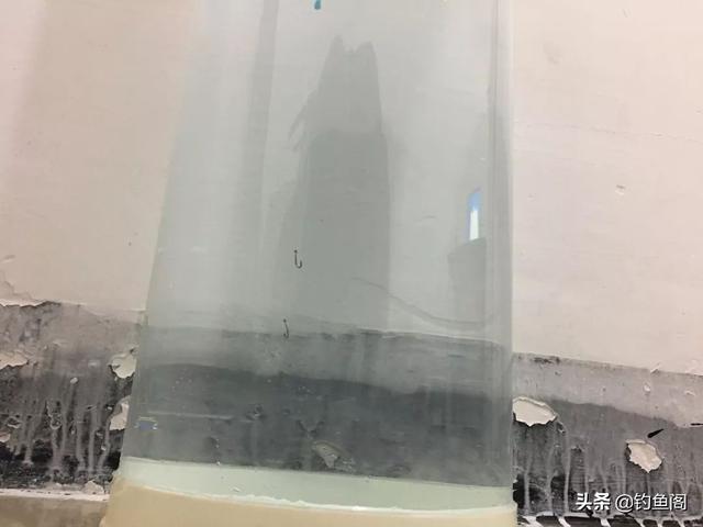 钓鱼调漂的正确方法，钓鱼入门如何调漂（再学不会我也没办法了）