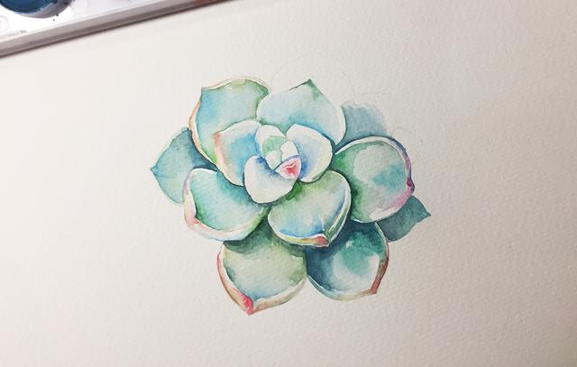如何画简单的多肉植物，多肉怎样画简单（水彩教你怎么画可爱的多肉）