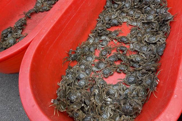 辽宁最穷十大城市排名，辽宁最穷的五个市（本溪、铁岭、阜新谁能在2019翻盘呢）