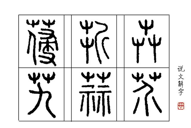 隶字怎么读，“赔了夫人又折兵”里的“折”字该怎么读