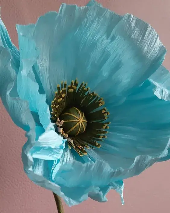 手工花朵制作方法，彩纸手工制作花朵的方法（喜欢花哪儿还用买）