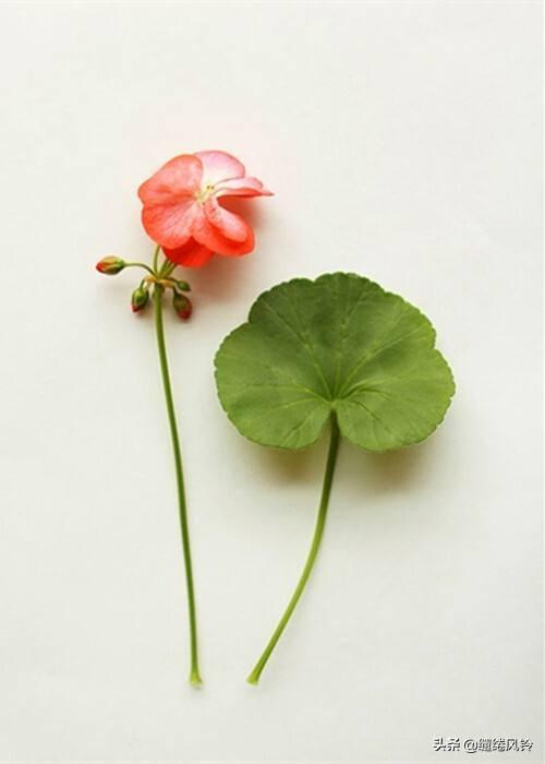 惯用语有哪些，60句日常生活惯用语