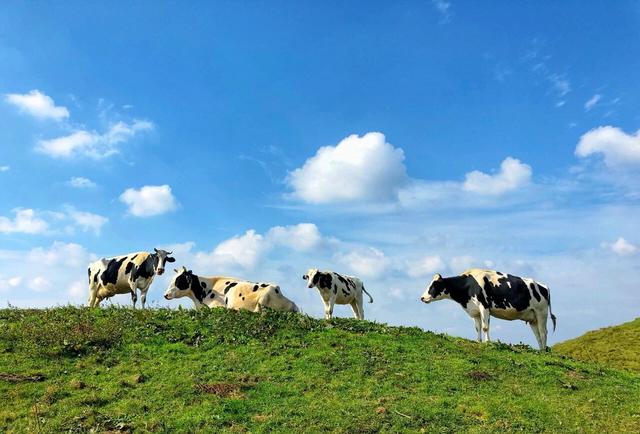 湖南好玩的地方，湖南有哪些好玩的地方（湖南这些好看又好玩的景点）