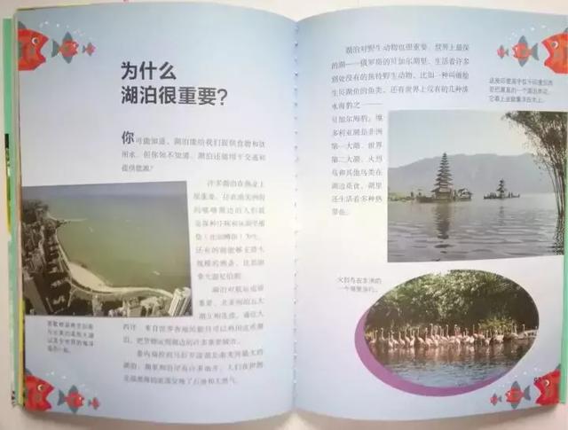 当时的恶金美金分别指的是,恶金美金指的是什么金属(世界顶级出版社的5套儿童百科全书) 当时的恶金美金分别指的是,恶金美金指的是什么金属(世界顶级出版社的5套儿童百科全书)