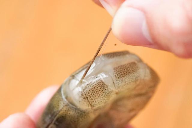 花甲粉是什么粉做的，做花甲粉的粉是什么粉（营养美汤与花甲结合）