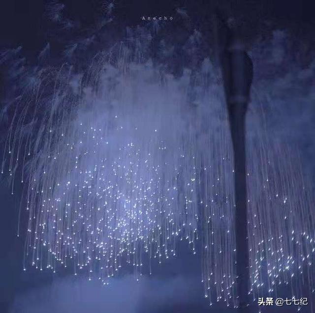 冯裤子的来历是什么，冯小刚为什么叫冯裤子的来历（那些嘲笑诋毁他的人还在过着嘲笑别人的生活）