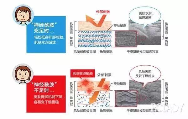 缤肌是正规牌子吗，缤肌是正规牌子安全吗