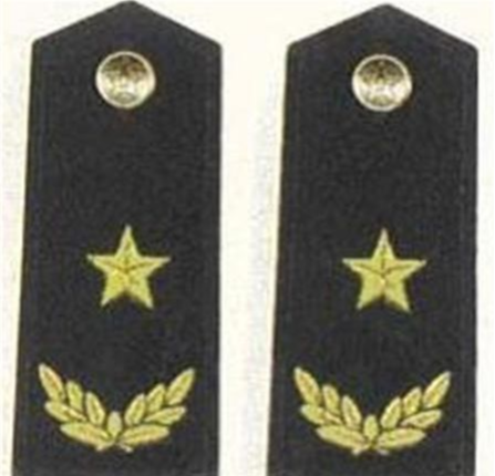 少将是什么军衔，少将是什么军衔肩章（军队里“少将”相当于地方什么级别干部）