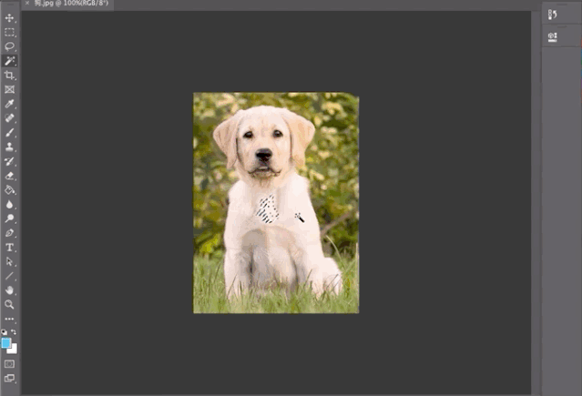 一键抠出细密发丝，Adobe公布逆天AI抠图算法，即将上线Photoshop