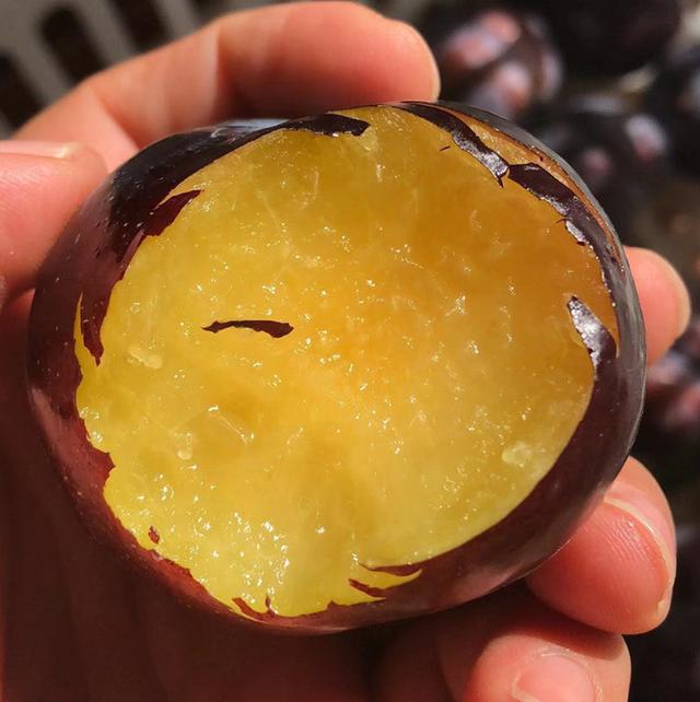 黑布林是李子吗，黑布林和李子是一种水果吗（黑布林和黑宝石李你能分辨出来吗）