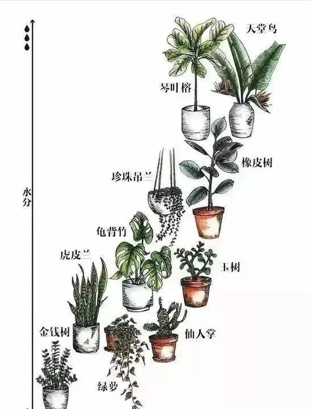 金琥在家居中的作用，你必须知道这些