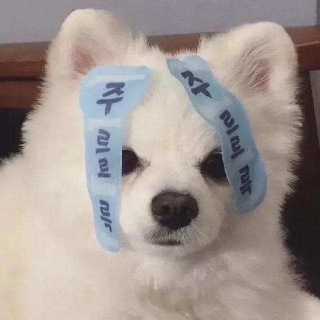 单身贵族头像，单身贵族头像(不要会员)（单身贵族头像 单身限定）