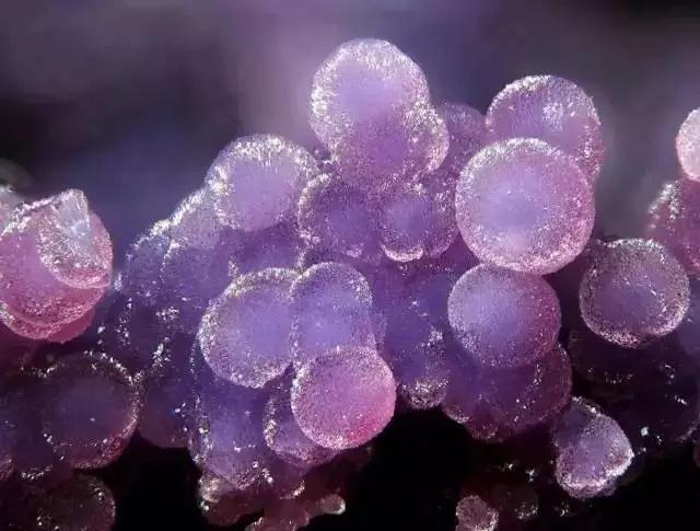 紫云母适合什么人佩戴，紫云母手镯的功效和作用（宝石新星——紫云母）