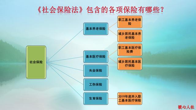 五险是哪五种保险，五险是哪五种保险二金是什么（五险指的是哪五险）