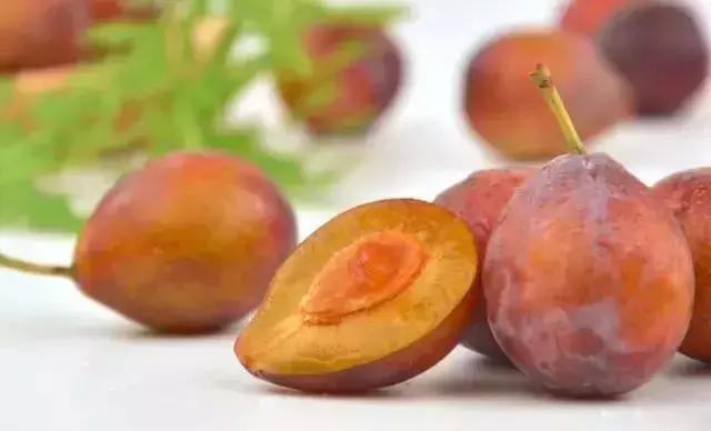 智利西梅是不是青色的,智利西梅有几个品种(怎样才能挑选到好的西梅) 智利西梅是不是青色的,智利西梅有几个品种(怎样才能挑选到好的西梅)