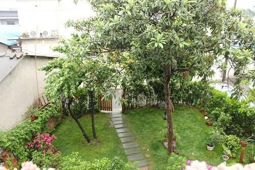 兴旺是什么意思，兴旺的意思（这3种树寓意好添子添福）