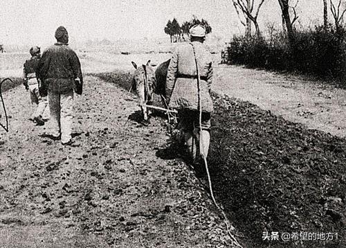 北海币票面区名，首套北海银行纸币的票面有什么绘制设计（\