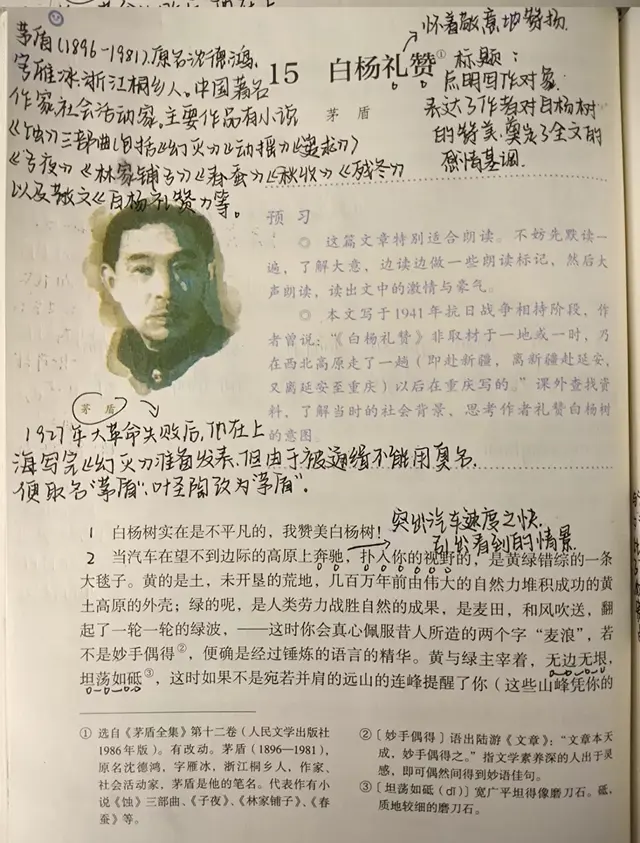 白杨礼赞课文赏析，白杨礼赞课文赏析句子（八年级语文上册第十五课《白杨礼赞》课文笔记）