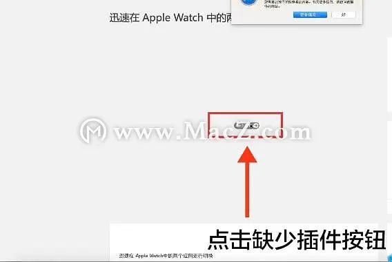 苹果flash插件怎样安装（如何为Safari浏览器安装Flash插件）