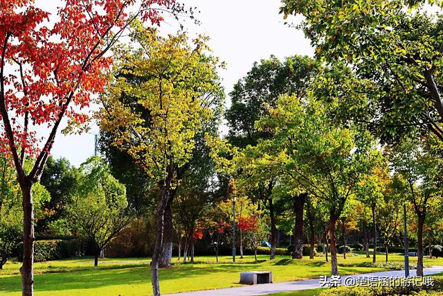 宁波儿童公园门票多少，宁波儿童公园营业时间（宁波地铁4号线23日开通）