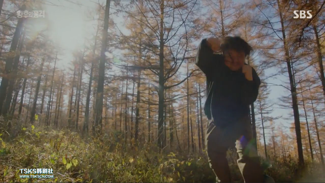 水木剧是什么意思，屋塔房王世子结局是什么意思（男女主携手黑化）