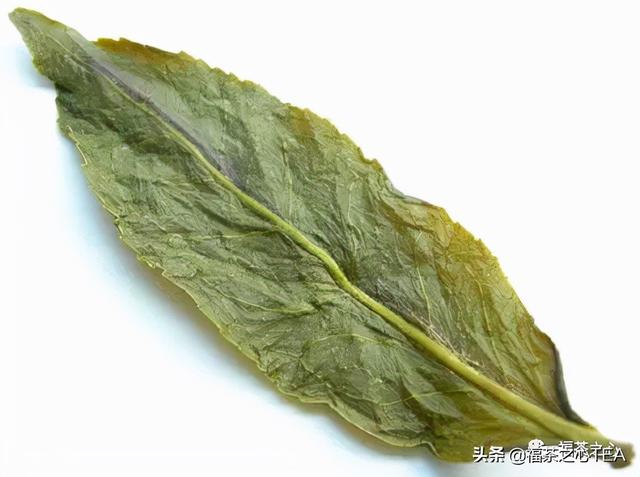 莲花峰茶不适宜哪些人喝，莲花峰茶有什么作用（了解福建全部茶叶看这一篇就够了）