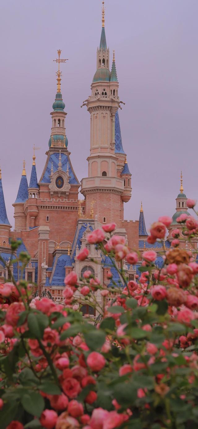 超级好看的图片~喜欢求关注求带走..，给个好看的图片（精选壁纸第<166>期）