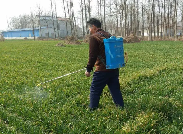 水花生用什么除草剂，花生田除草剂有哪些（使用时候千万要注意）