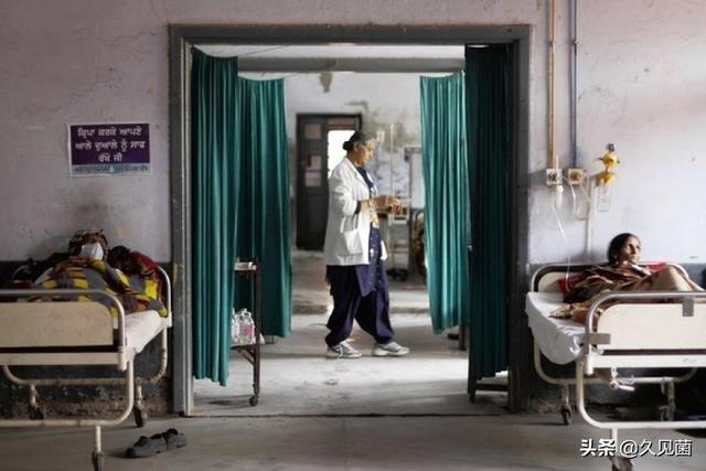 印度蛇为什么是保护动物，印度每年4.59万人死于蛇咬