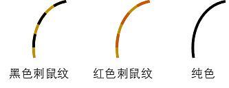 虎斑暹罗猫，银渐层、重点色、虎斑傻傻分不清（海豹虎斑暹罗猫）