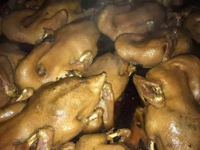 山东多乐采暖锅炉厂，多乐炉子和热立方哪个好（“枣庄老字号”不看不知道）