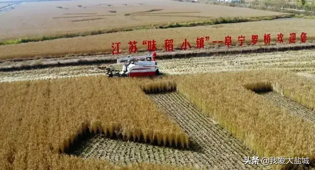 阜宁南站在哪里，阜宁东站和阜宁南站区别（美哉，阜宁新地图）