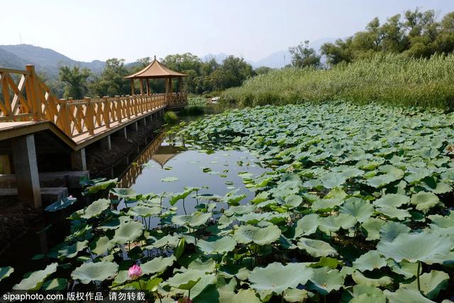 北京免费开放的景点，北京十大景点免费开放的地方（就藏着“小苏杭”“小奈良”）