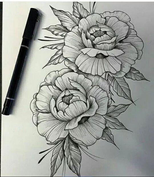 怎样用中性笔画玫瑰花好看，中性笔画花卉图片（一篇用针管笔画的植物花卉）