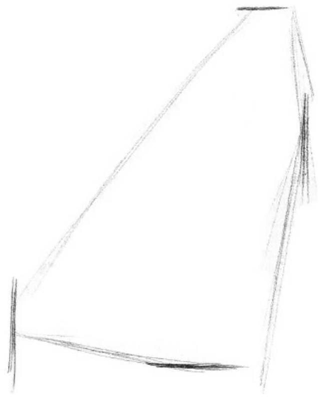 动物素描画，关于动物的画（适合初学者学习的动物素描步骤教程）