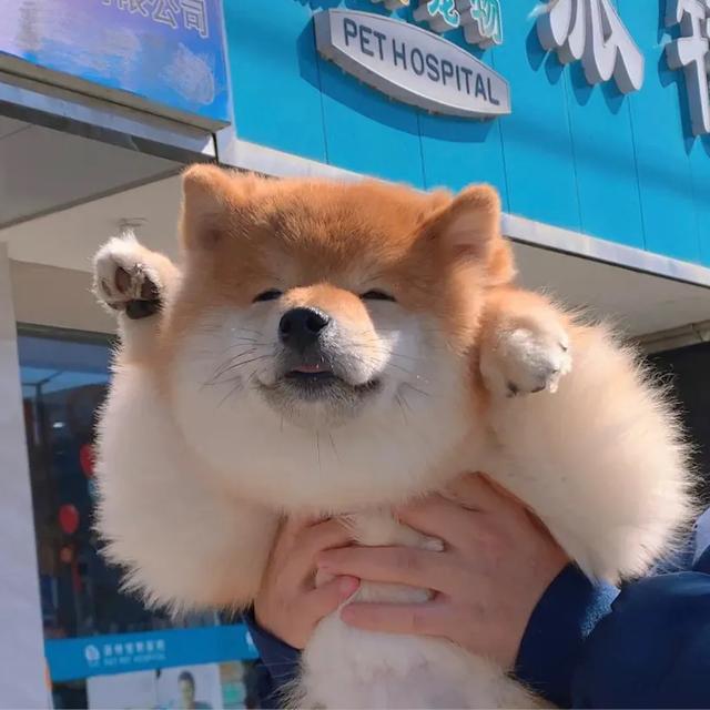 微信壁纸图片大全，微信背景图片（微信朋友圈背景图<60张>）