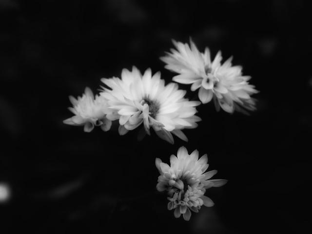 心情郁闷的句子，朋友圈心情郁闷的句子（表达心情压抑难受的文案说说）