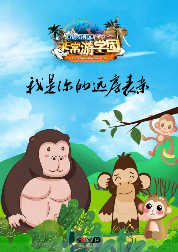 猩猩、狒狒和猴子的区别，狒狒和猩猩谁是猴科动物（是猿是猴，傻傻分不清楚）