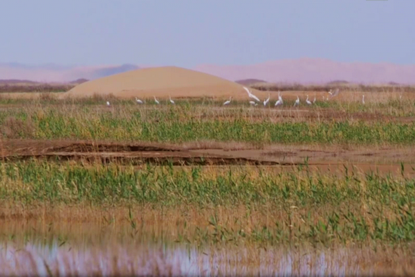 河人是什么，河里的人叫什么（塔里木河人）