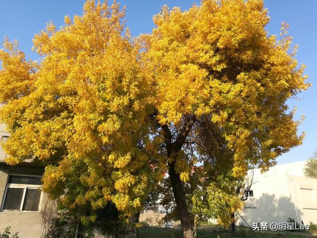 嗯啊灌满了啊太深了h，管子吹奏指法图（下雨，随笔）