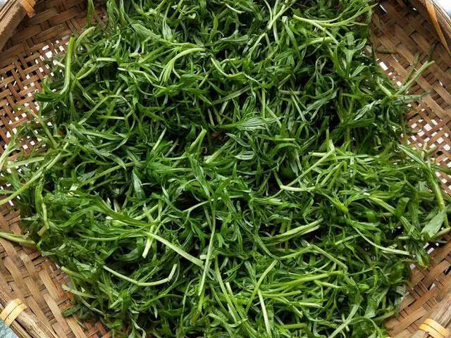 野泥蒿怎么做好吃窍门，野生泥蒿的做法（水边特有的一种野菜）